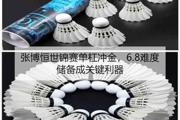 张博恒世锦赛单杠冲金，6.8难度储备成关键利器