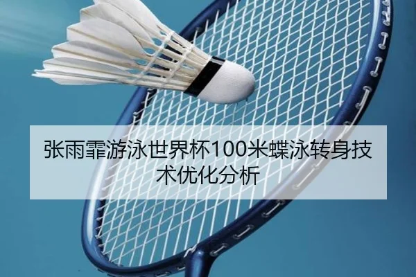 zhang-yu-fei-you-yong-shi-jie-bei-mi-die-yong-zhuan-shen-ji-shu-you-hua-fen-xi-3-759.jpg